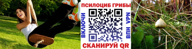 Купить где  Тогучин  Галлюциногенные грибы GOLDEN TEACHER 